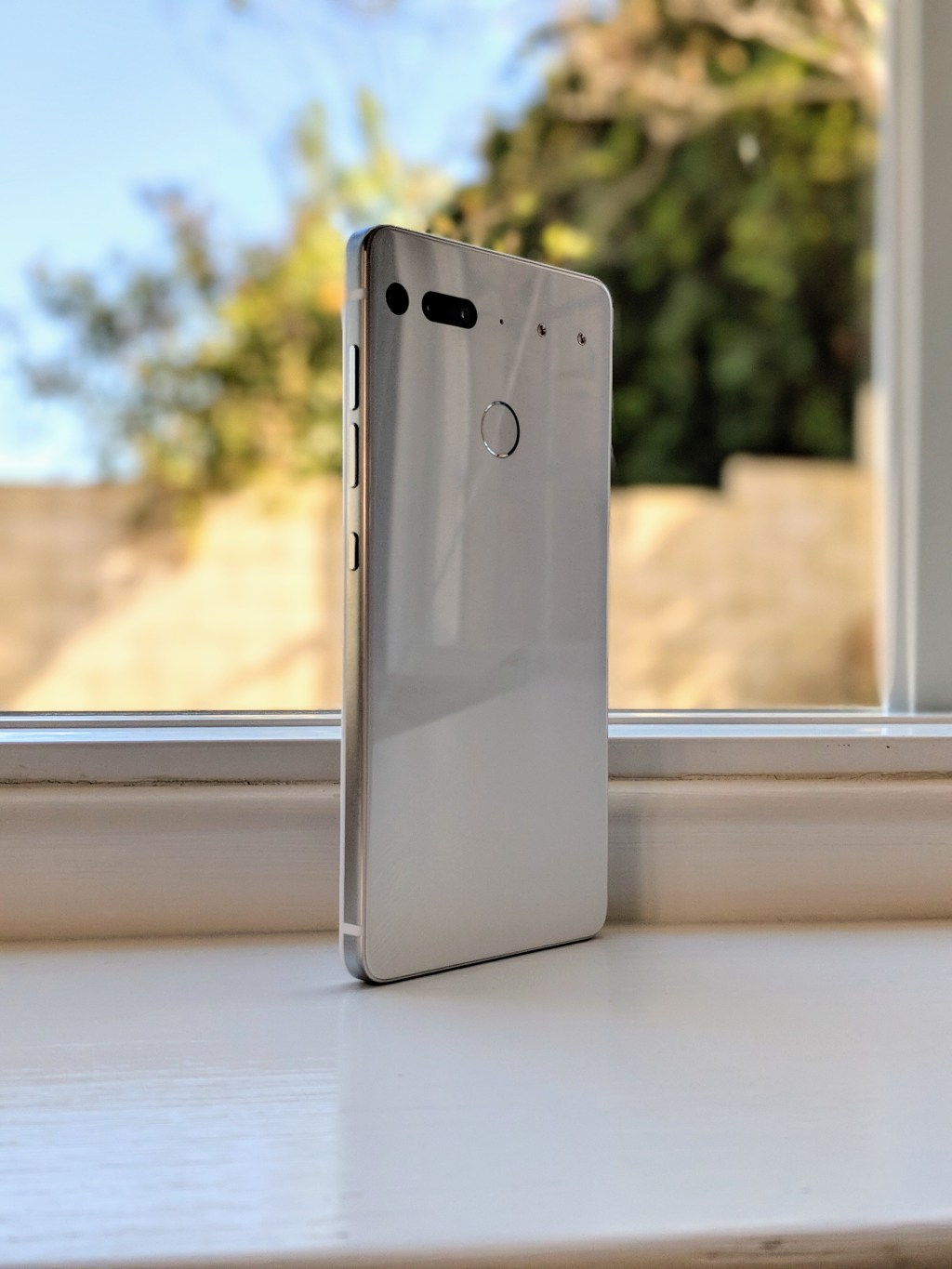 How Essential Is&nbsp;Essential?