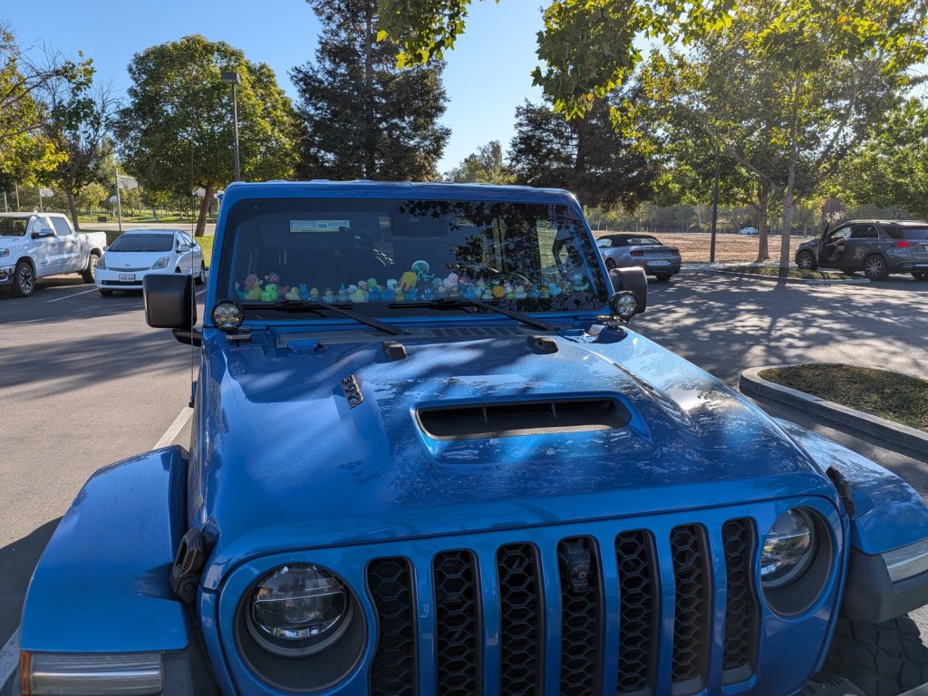 Blue Jeep Wrangler windshield lined with a large collection of rubber ducks